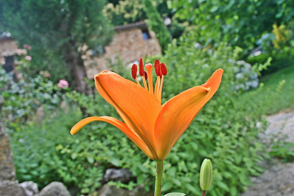 Finca El Carpintero Jerte Eksteriør bilde