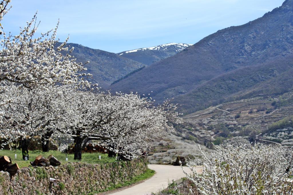 Finca El Carpintero Jerte Eksteriør bilde